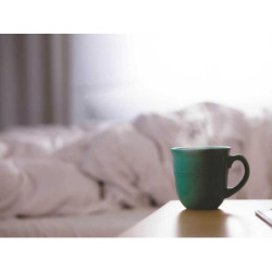 Enormous Paper Plate fr-FR